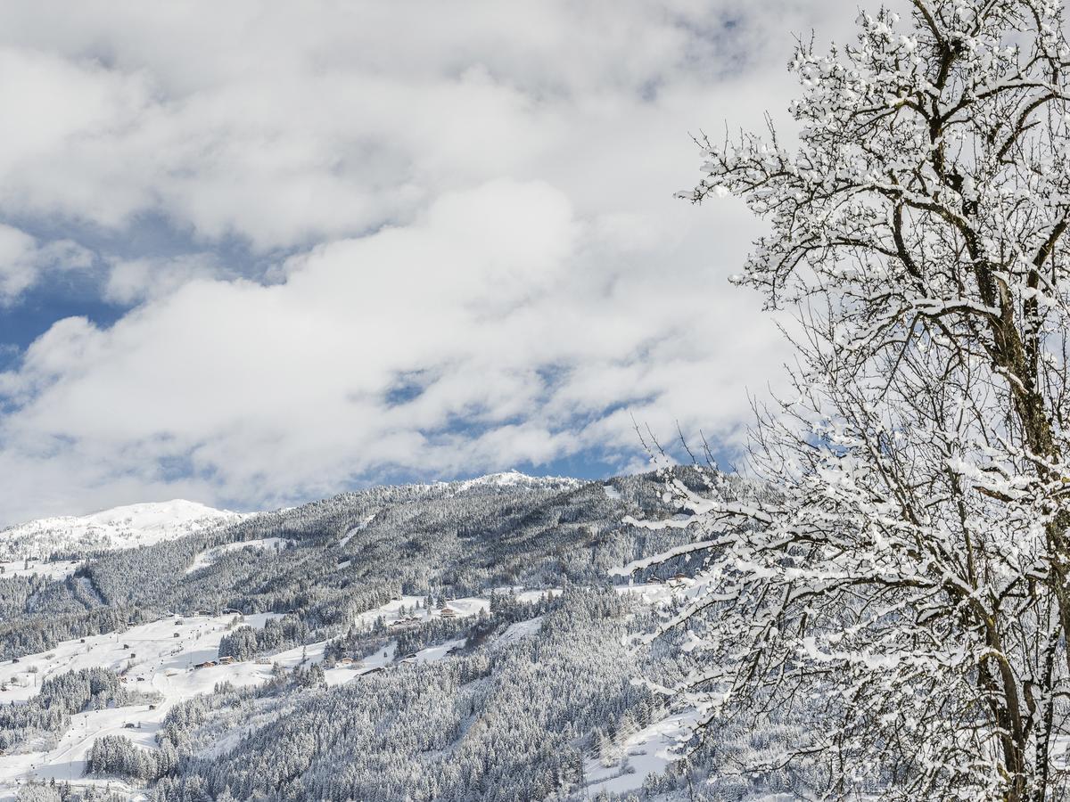 Tirol Appartement Haus Zillertal Zell am Ziller Zewnętrze zdjęcie