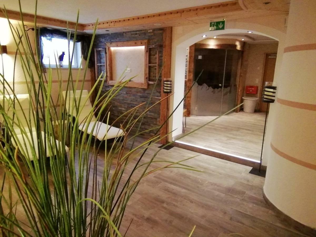 Tirol Appartement Haus Zillertal Zell am Ziller Zewnętrze zdjęcie